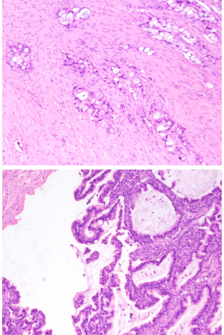 Figure 3