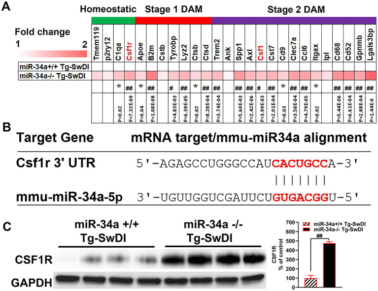 Figure 6