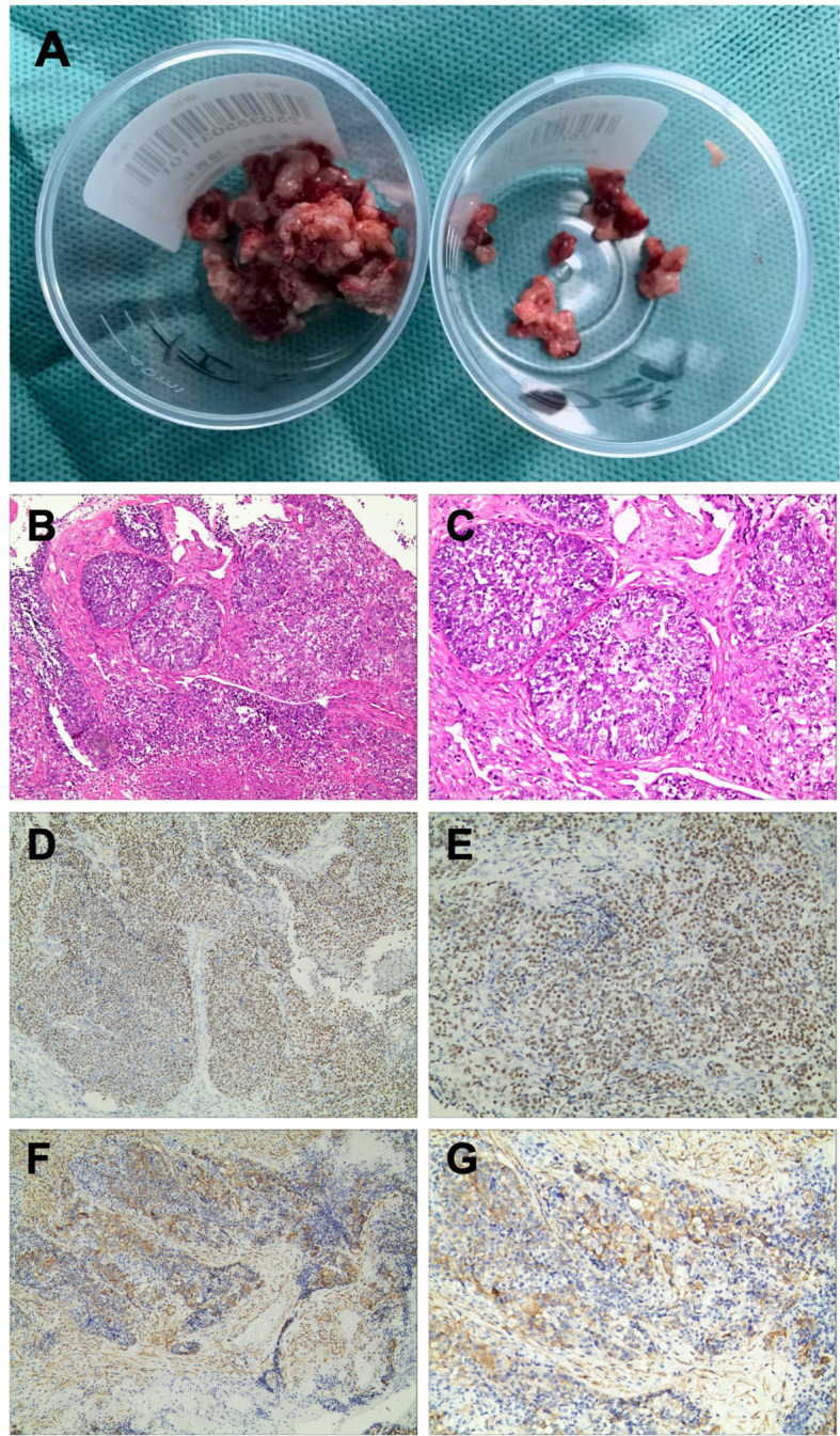 Figure 3