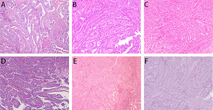 Figure 2