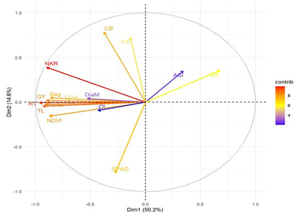 Figure 5