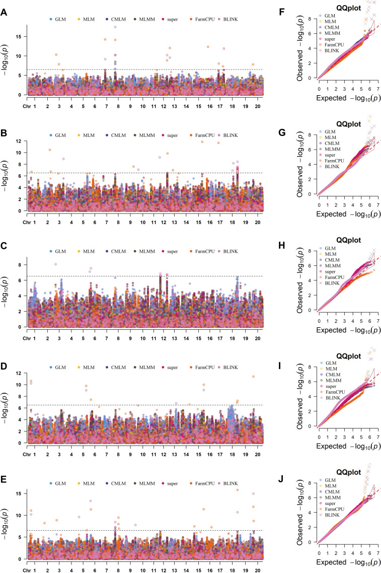 Figure 4