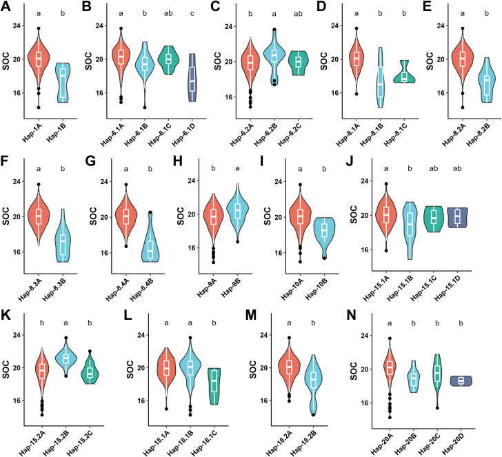 Figure 6