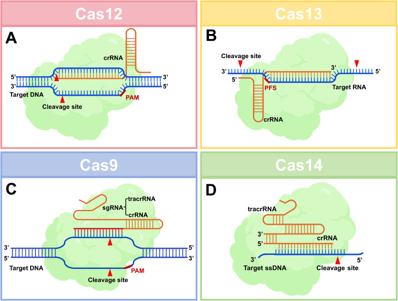 Figure 1