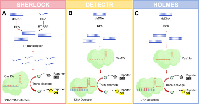 Figure 2