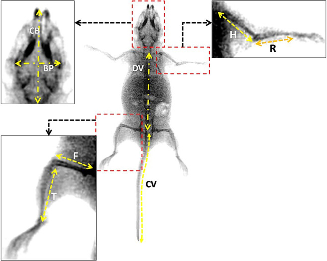 FIGURE 2