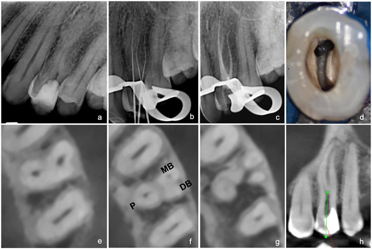 Figure 1