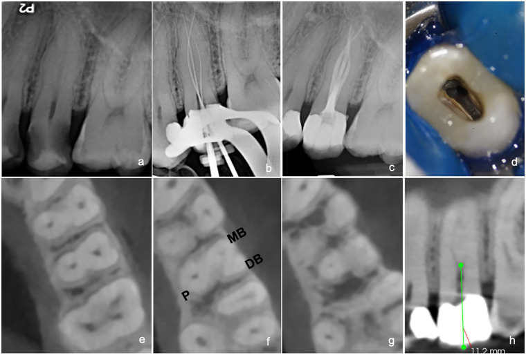 Figure 2