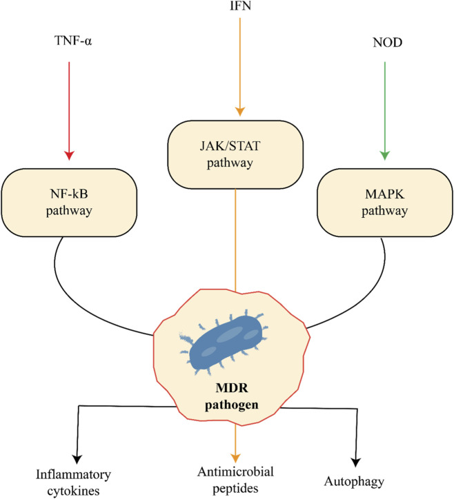 FIGURE 3