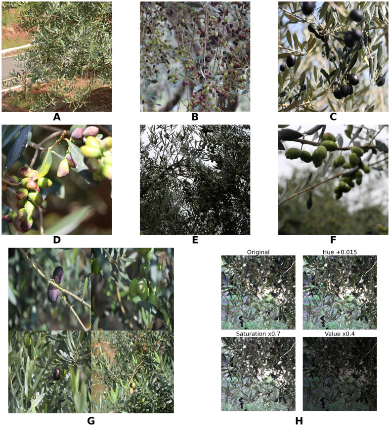 Figure 1