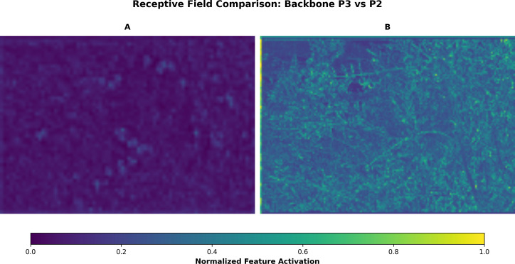 Figure 11