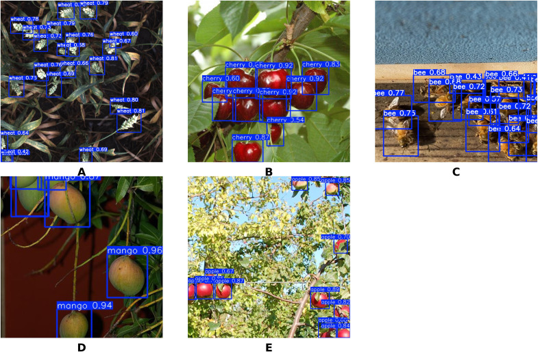 Figure 15