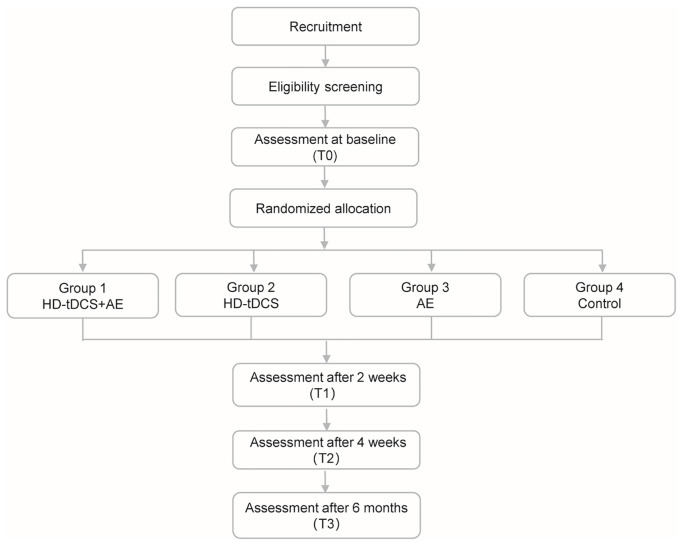 Figure 1
