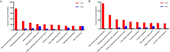 Figure 7