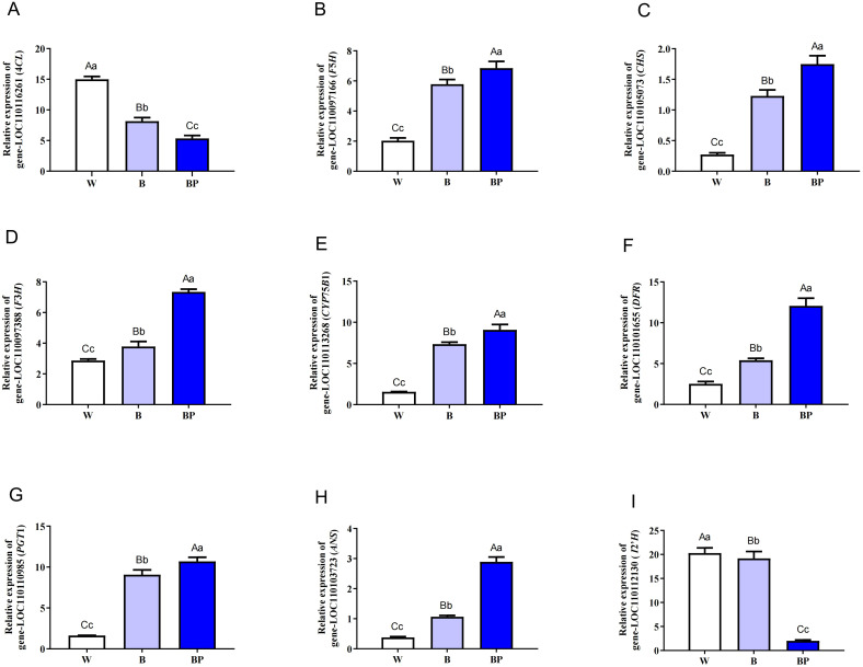 Figure 10