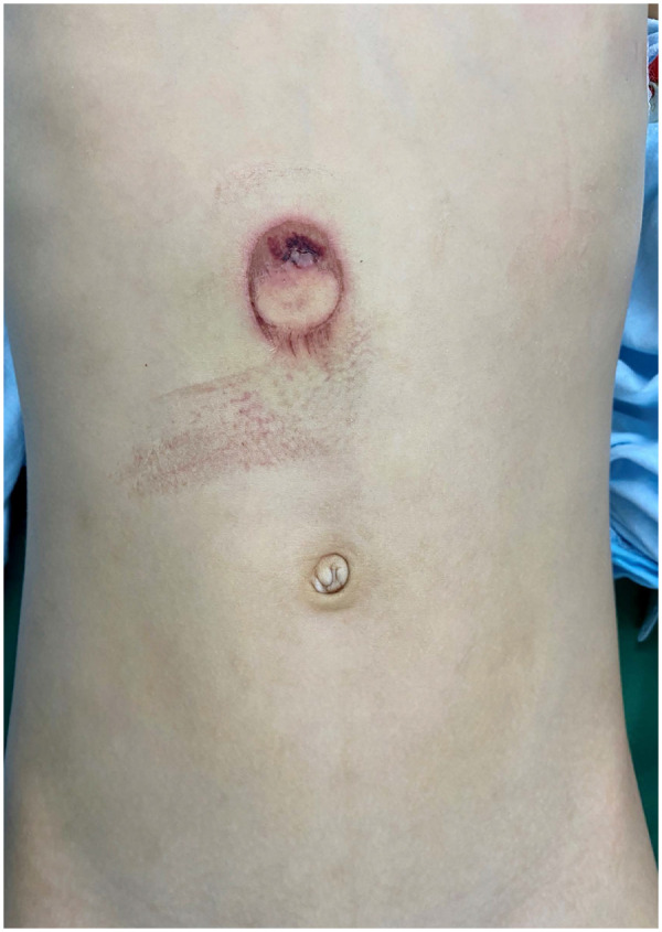 Figure 1