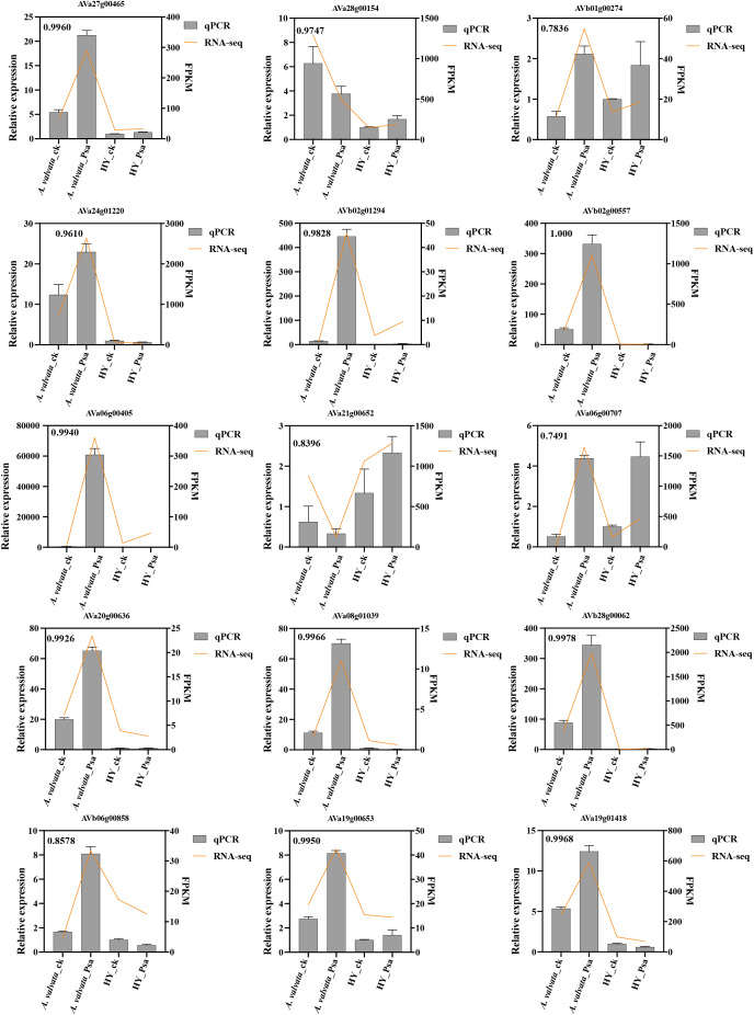 Figure 6