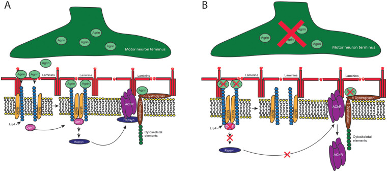 Figure 2
