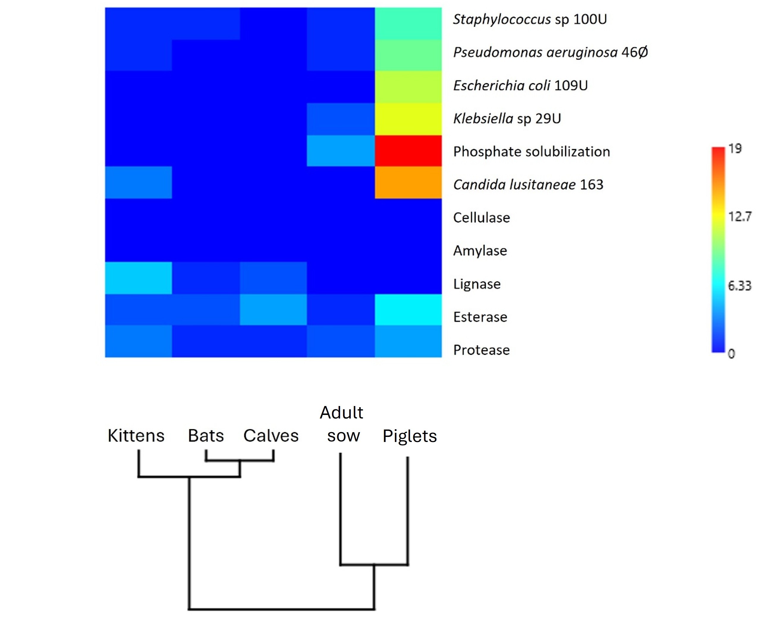 Figure 10