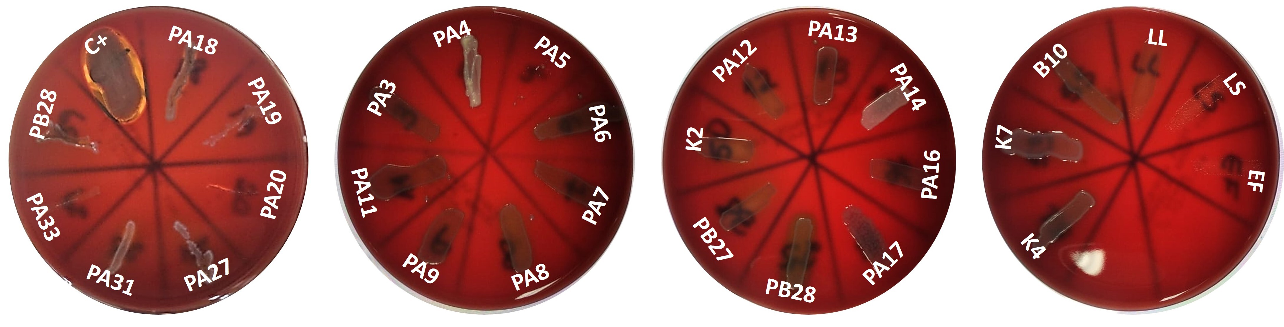 Figure 11