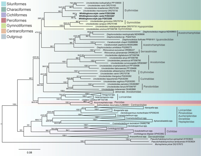 Figure 2