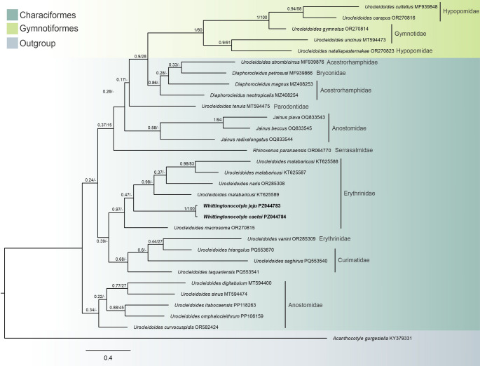 Figure 3