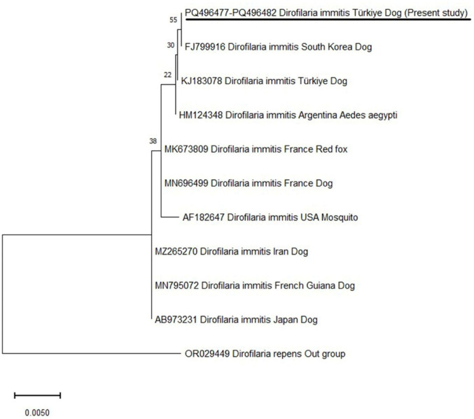Figure 6