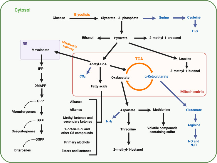 Figure 2