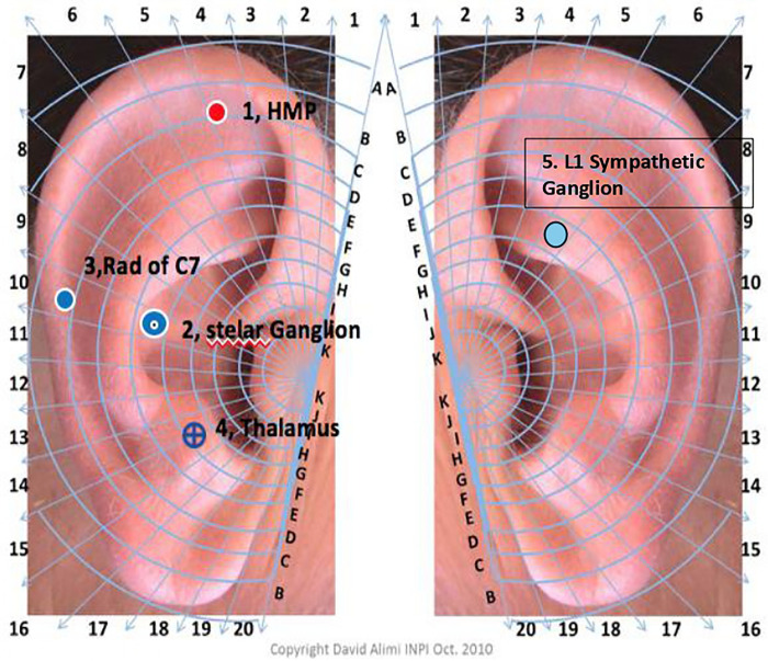 Figure 1