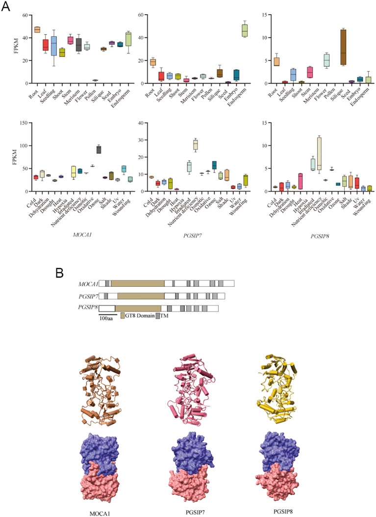 Figure 2