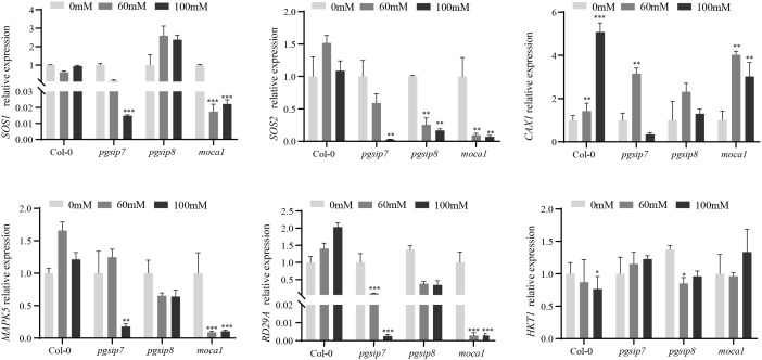 Figure 4