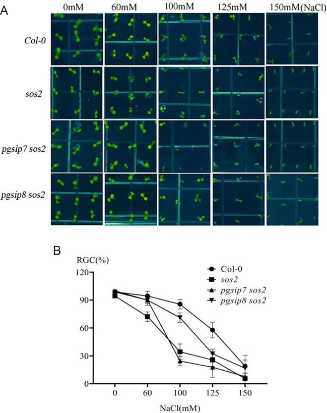 Figure 5