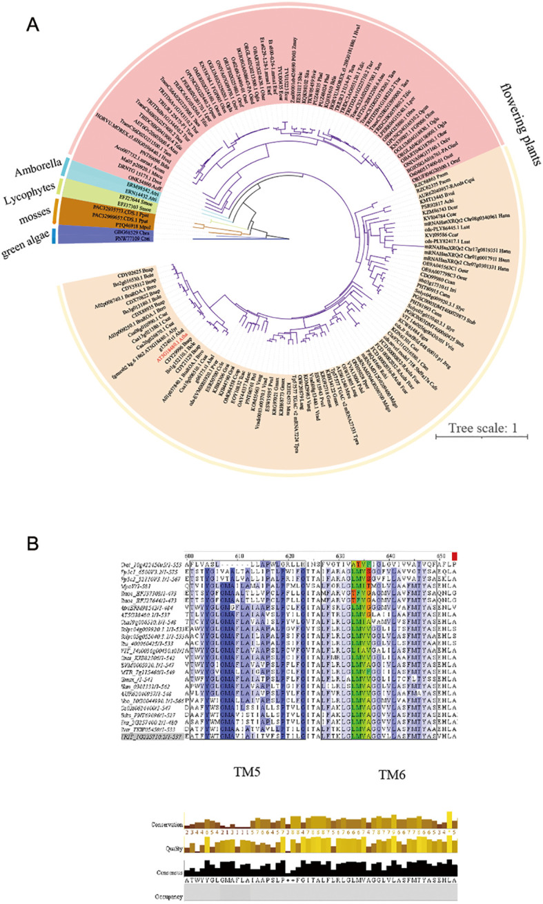 Figure 6