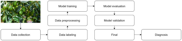 Figure 1