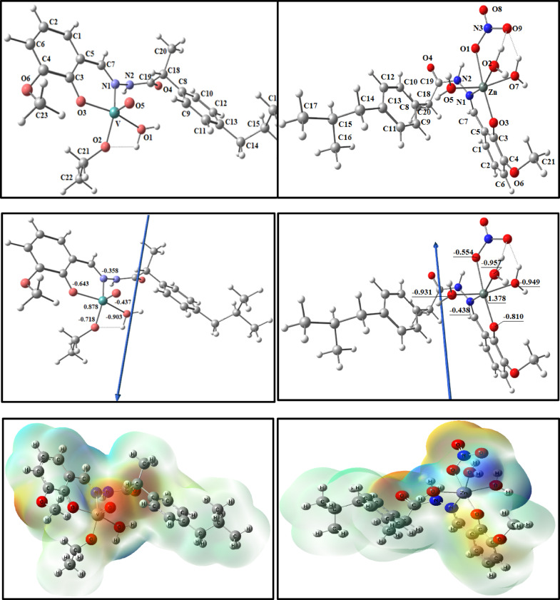Figure 13