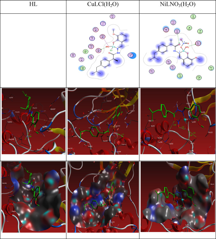 Figure 19