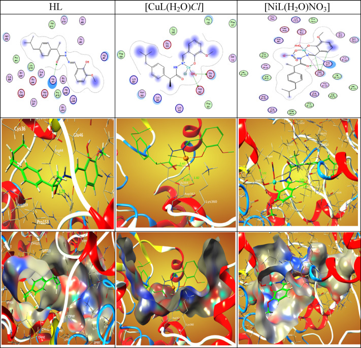 Figure 21