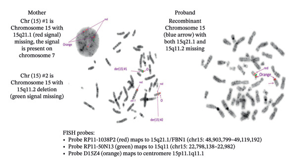FIGURE 3