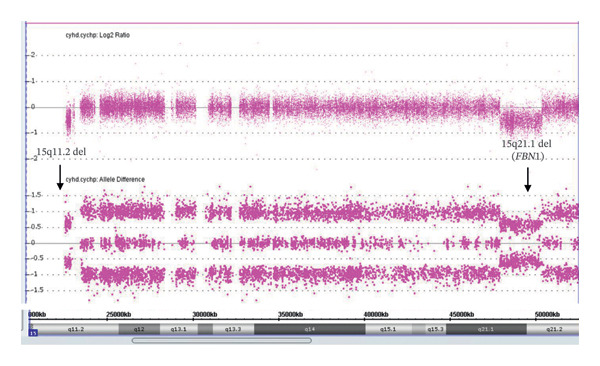 FIGURE 2
