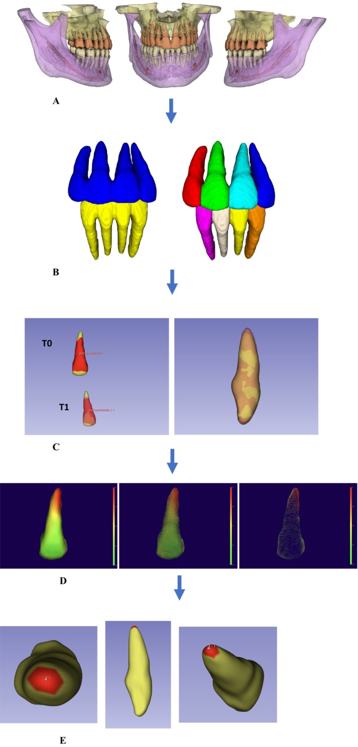 FIGURE 1