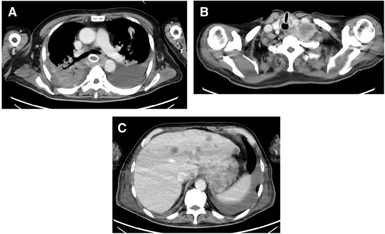 Fig. 6