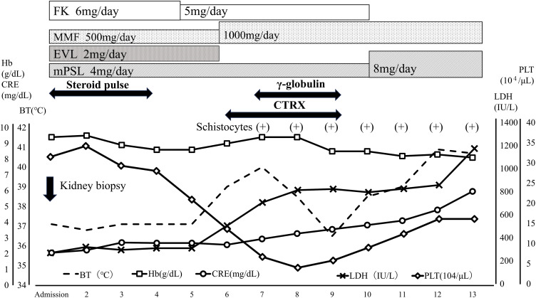 Fig. 1