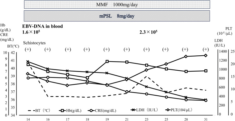Fig. 2