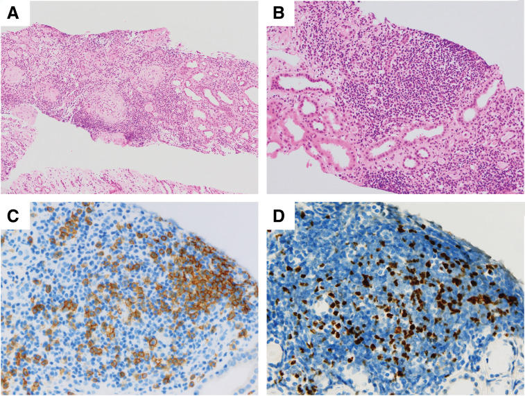 Fig. 3