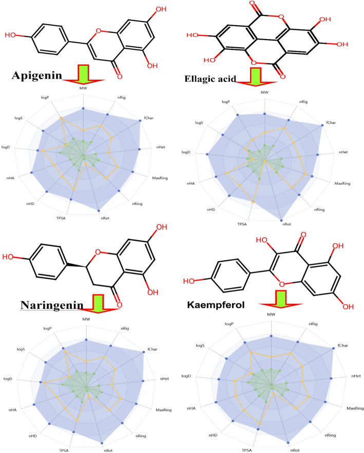 Figure 12