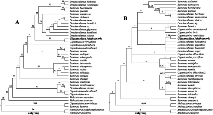 FIGURE 2
