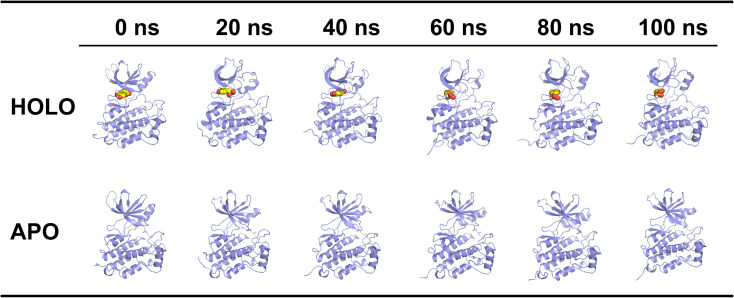 Figure 5