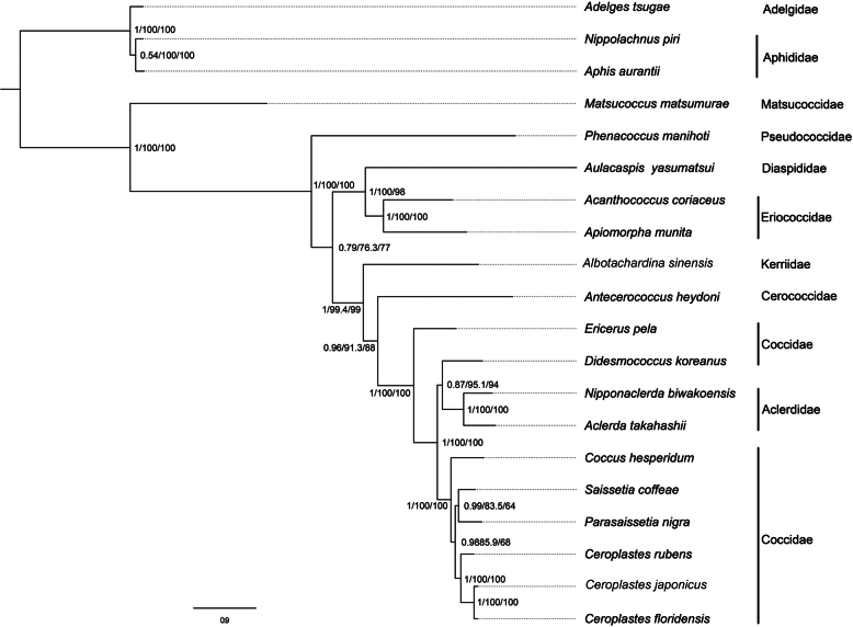 Figure 6