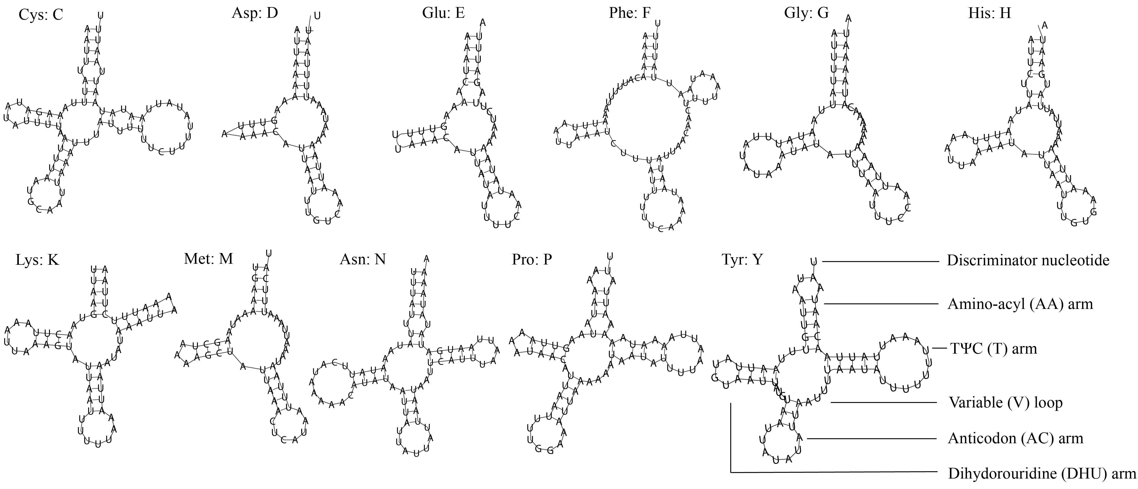 Figure 8