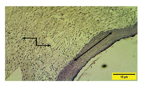 Figure 24